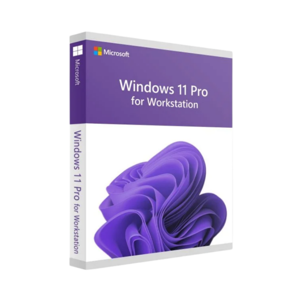 Microsoft Windows 11 Pro For Workstation DVD Kutu